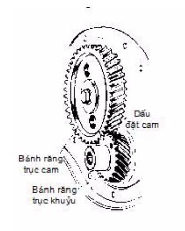 Các phương pháp đặt cam có dấu