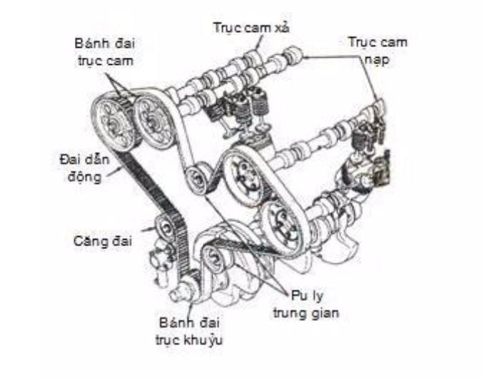 Các phương pháp đặt cam có dấu